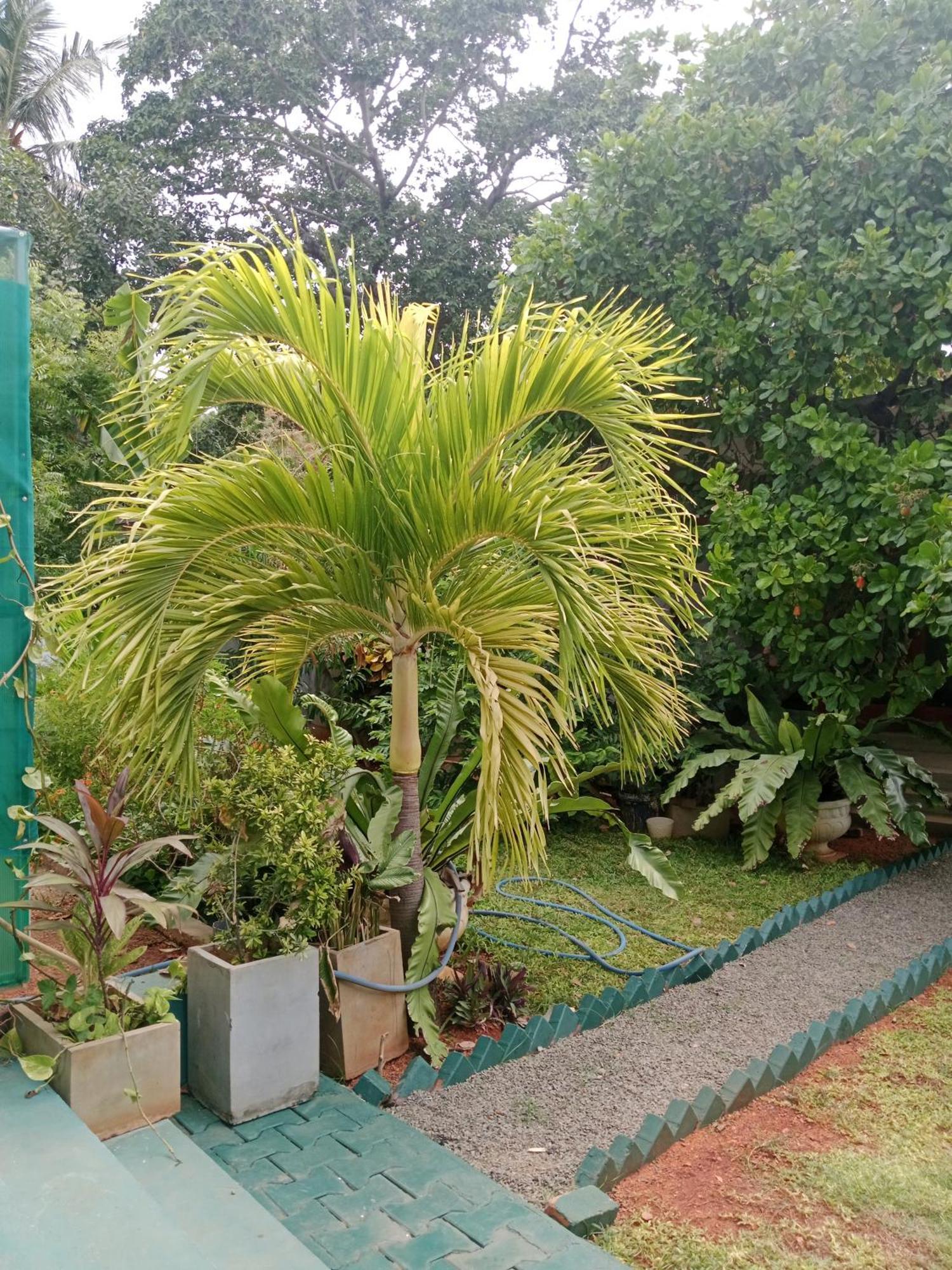 Home Stay Resort Nilaveli Dış mekan fotoğraf